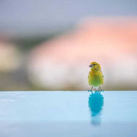 Atlantic Heritage Luxury * מדלנה