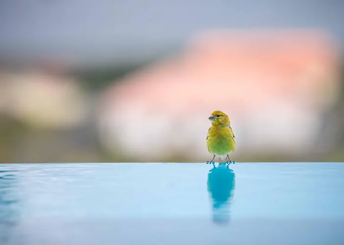 Atlantic Heritage Luxury * מדלנה